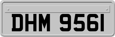 DHM9561