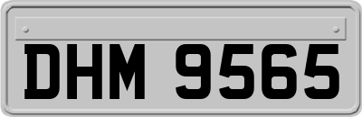 DHM9565