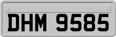 DHM9585