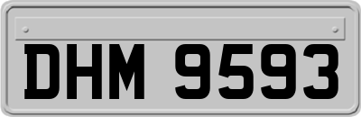 DHM9593