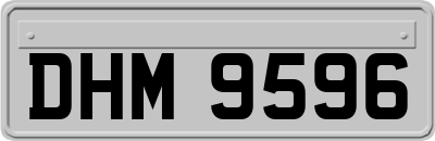 DHM9596