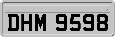 DHM9598