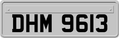 DHM9613