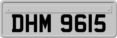 DHM9615