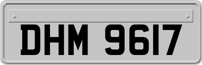 DHM9617