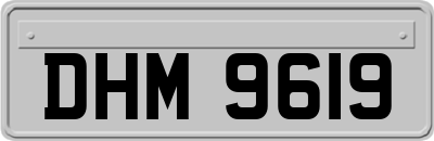 DHM9619