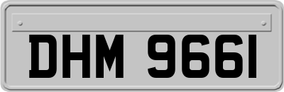 DHM9661