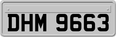 DHM9663