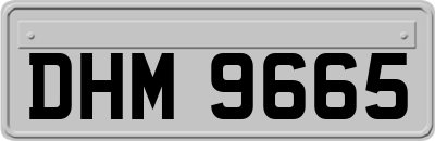 DHM9665