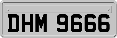 DHM9666