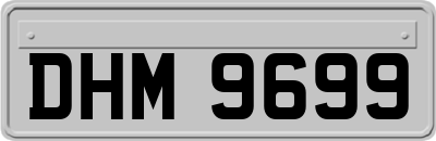 DHM9699