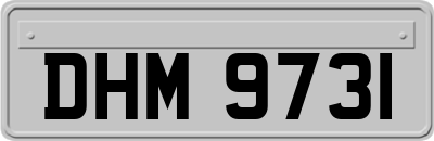 DHM9731