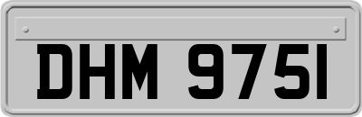 DHM9751