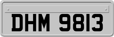 DHM9813