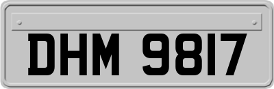 DHM9817