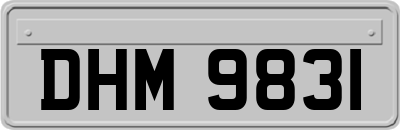 DHM9831