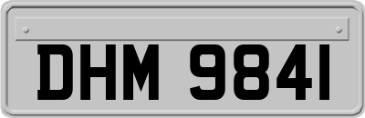 DHM9841