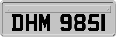 DHM9851