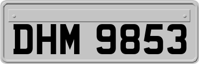 DHM9853