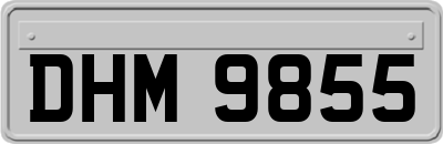 DHM9855