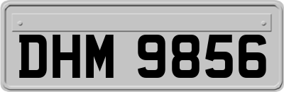 DHM9856