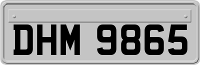 DHM9865