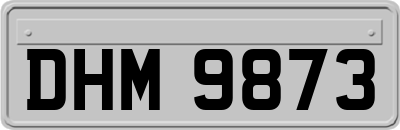 DHM9873