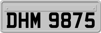 DHM9875