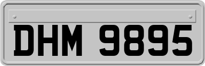 DHM9895