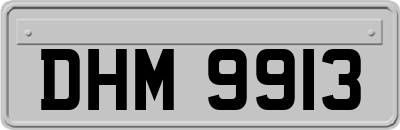 DHM9913