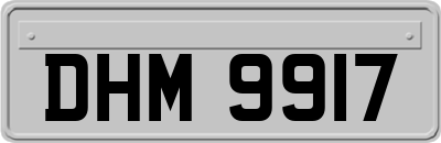 DHM9917