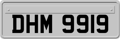 DHM9919