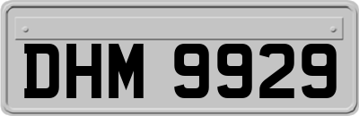 DHM9929