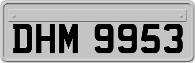 DHM9953