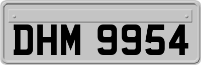 DHM9954