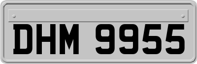 DHM9955