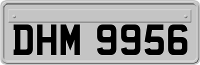 DHM9956