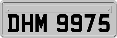 DHM9975