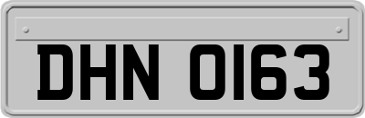 DHN0163