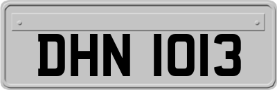 DHN1013