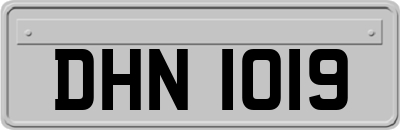 DHN1019