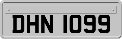 DHN1099