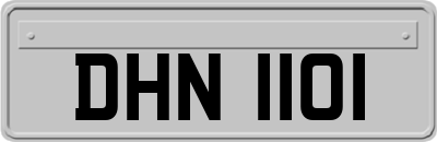DHN1101