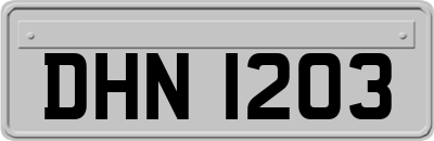 DHN1203