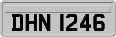 DHN1246