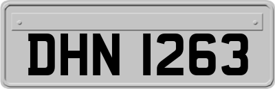 DHN1263