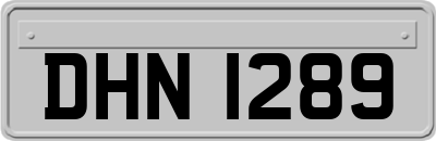 DHN1289