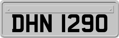 DHN1290