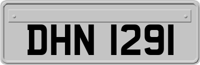 DHN1291