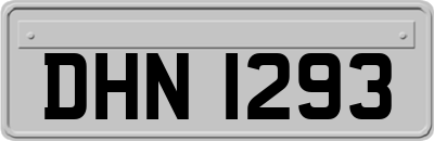 DHN1293